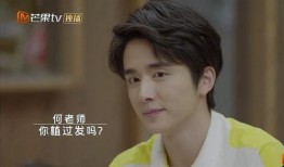 吃瓜娱乐圈张新成,娱乐圈的瓜田新秀，星光熠熠的青春足迹